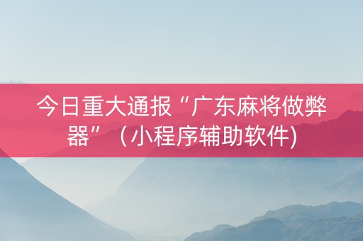 今日重大通报“广东麻将做弊器”（小程序辅助软件)