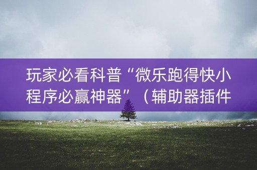 玩家必看科普“微乐跑得快小程序必赢神器”（辅助器插件)