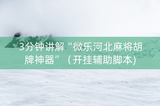 3分钟讲解“微乐河北麻将胡牌神器”（开挂辅助脚本)