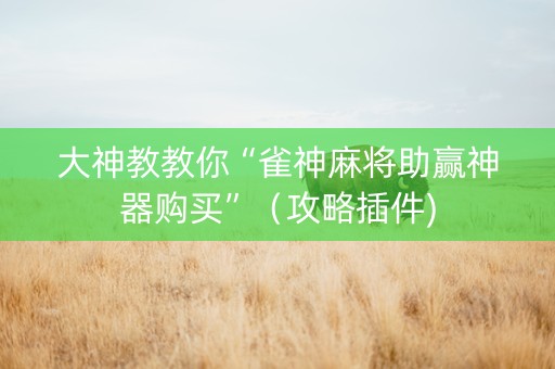 大神教教你“雀神麻将助赢神器购买”（攻略插件)