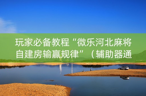 玩家必备教程“微乐河北麻将自建房输赢规律”（辅助器通用版)