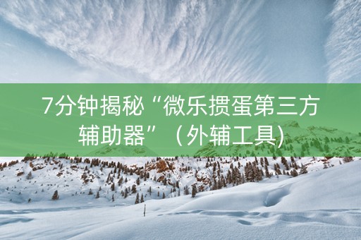 7分钟揭秘“微乐掼蛋第三方辅助器”（外辅工具)