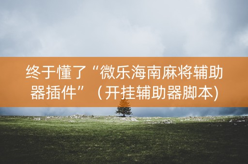 终于懂了“微乐海南麻将辅助器插件”（开挂辅助器脚本)