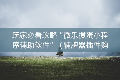 玩家必看攻略“微乐掼蛋小程序辅助软件”（辅牌器插件购买)