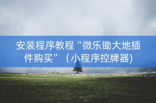安装程序教程“微乐锄大地插件购买”（小程序控牌器)