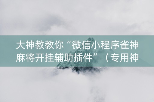 大神教教你“微信小程序雀神麻将开挂辅助插件”（专用神器下载)