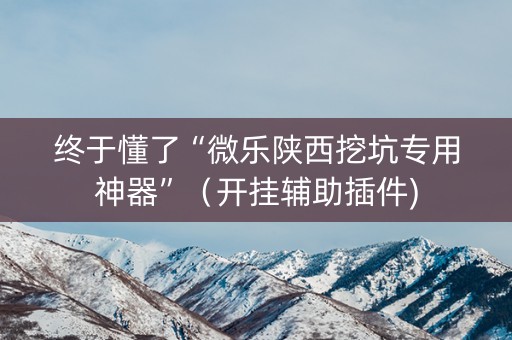 终于懂了“微乐陕西挖坑专用神器”（开挂辅助插件)