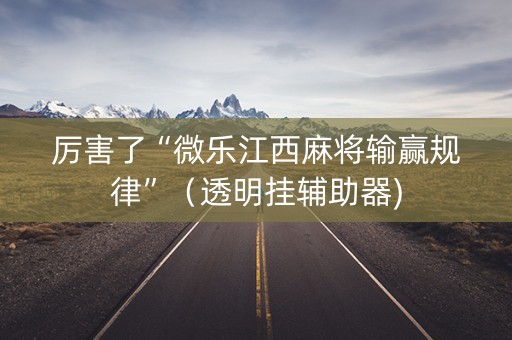 厉害了“微乐江西麻将输赢规律”（透明挂辅助器)