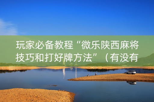 玩家必备教程“微乐陕西麻将技巧和打好牌方法”（有没有猫腻)