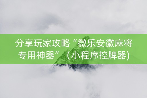 分享玩家攻略“微乐安徽麻将专用神器”（小程序控牌器)