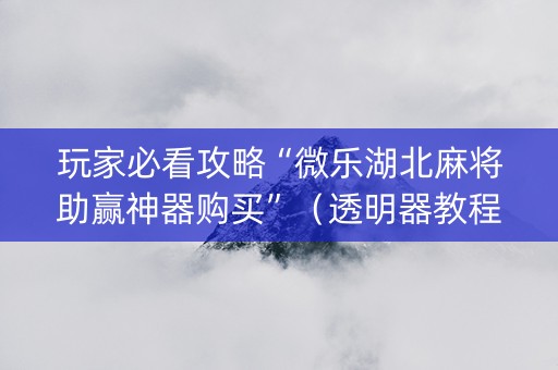 玩家必看攻略“微乐湖北麻将助赢神器购买”（透明器教程)