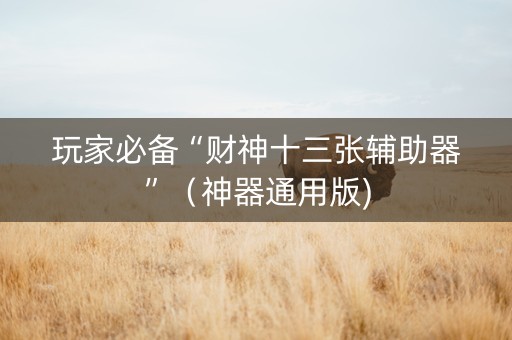 玩家必备“财神十三张辅助器”（神器通用版)