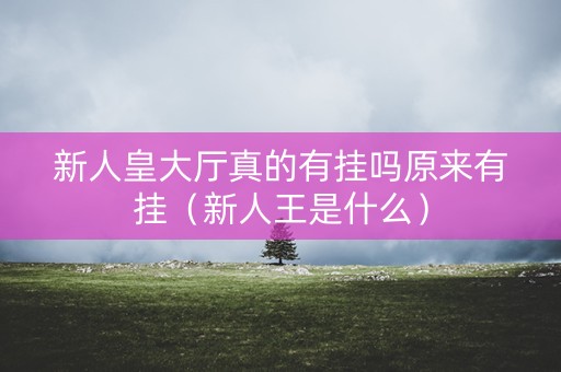 新人皇大厅真的有挂吗原来有挂（新人王是什么）