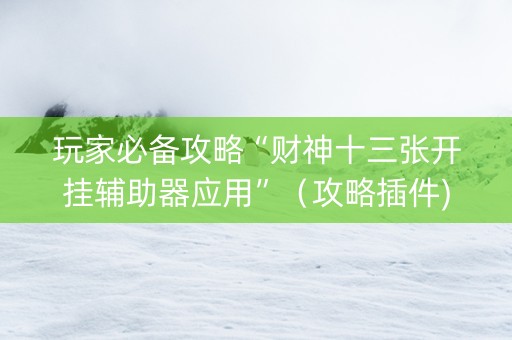 玩家必备攻略“财神十三张开挂辅助器应用”（攻略插件)
