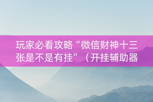 玩家必看攻略“微信财神十三张是不是有挂”（开挂辅助器插件)
