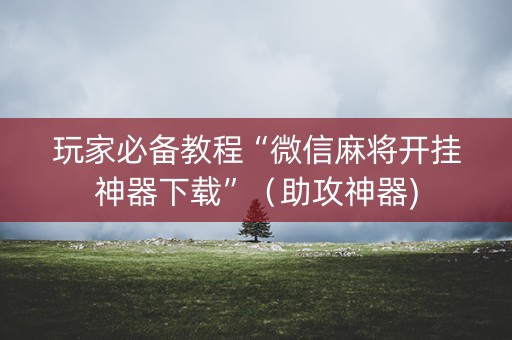 玩家必备教程“微信麻将开挂神器下载”（助攻神器)