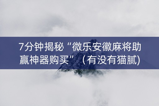 7分钟揭秘“微乐安徽麻将助赢神器购买”（有没有猫腻)