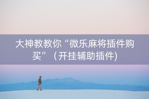 大神教教你“微乐麻将插件购买”（开挂辅助插件)
