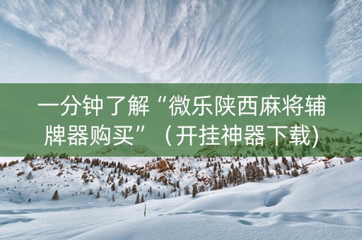 一分钟了解“微乐陕西麻将辅牌器购买”（开挂神器下载)