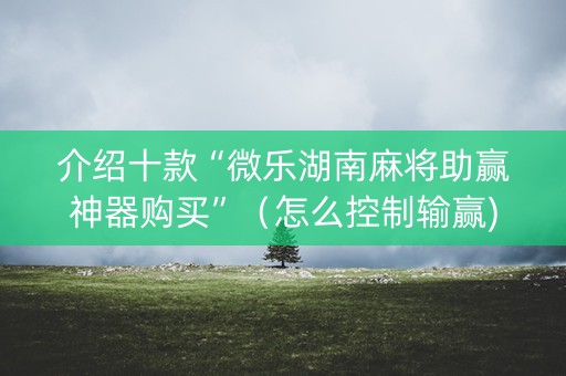 介绍十款“微乐湖南麻将助赢神器购买”（怎么控制输赢)