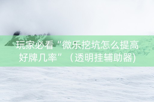 玩家必看“微乐挖坑怎么提高好牌几率”（透明挂辅助器)