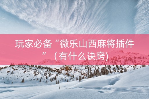 玩家必备“微乐山西麻将插件”（有什么诀窍)