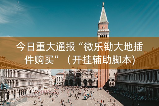 今日重大通报“微乐锄大地插件购买”（开挂辅助脚本)