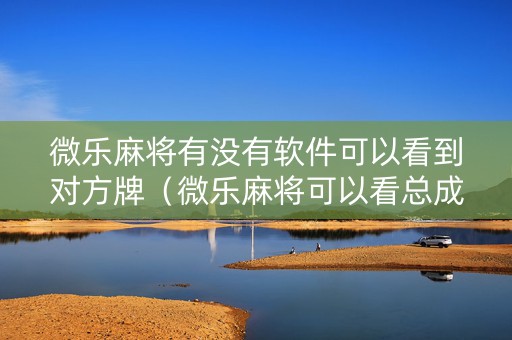 微乐麻将有没有软件可以看到对方牌（微乐麻将可以看总成绩吗）
