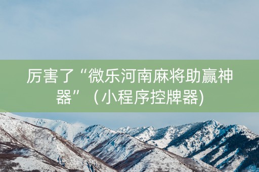 厉害了“微乐河南麻将助赢神器”（小程序控牌器)