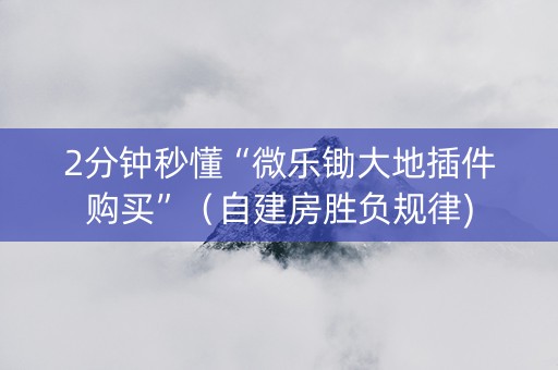 2分钟秒懂“微乐锄大地插件购买”（自建房胜负规律)