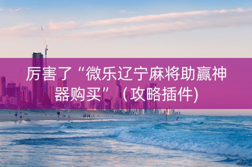 厉害了“微乐辽宁麻将助赢神器购买”（攻略插件)