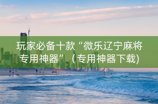 玩家必备十款“微乐辽宁麻将专用神器”（专用神器下载)