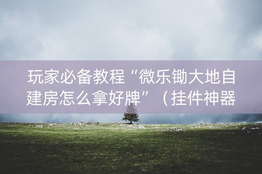 玩家必备教程“微乐锄大地自建房怎么拿好牌”（挂件神器)