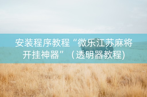 安装程序教程“微乐江苏麻将开挂神器”（透明器教程)