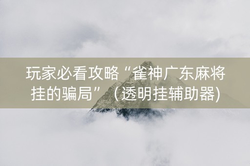 玩家必看攻略“雀神广东麻将挂的骗局”（透明挂辅助器)
