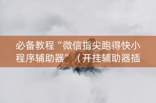 必备教程“微信指尖跑得快小程序辅助器”（开挂辅助器插件)