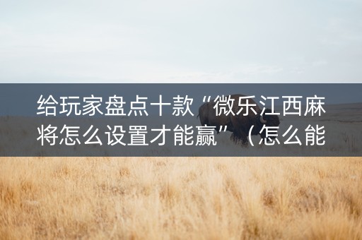 给玩家盘点十款“微乐江西麻将怎么设置才能赢”（怎么能让牌好一点)