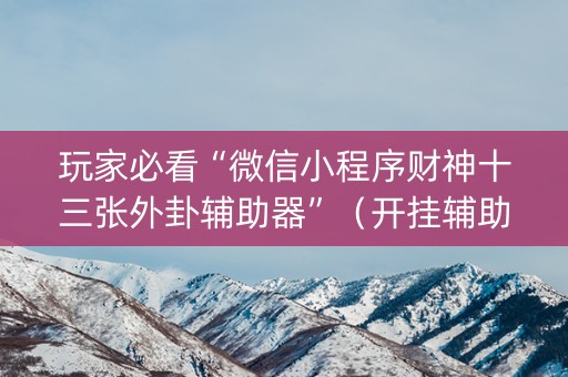 玩家必看“微信小程序财神十三张外卦辅助器”（开挂辅助器插件)