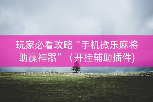 玩家必看攻略“手机微乐麻将助赢神器”（开挂辅助插件)