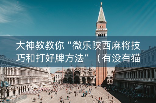 大神教教你“微乐陕西麻将技巧和打好牌方法”（有没有猫腻)