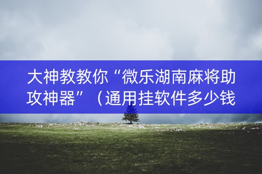 大神教教你“微乐湖南麻将助攻神器”（通用挂软件多少钱)