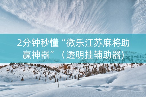 2分钟秒懂“微乐江苏麻将助赢神器”（透明挂辅助器)