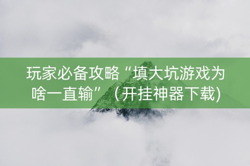玩家必备攻略“填大坑游戏为啥一直输”（开挂神器下载)