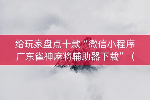 给玩家盘点十款“微信小程序广东雀神麻将辅助器下载”（必赢神器辅助器)