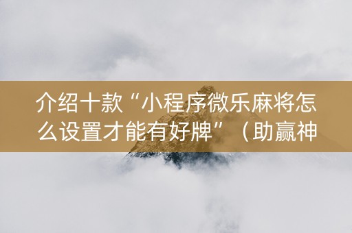 介绍十款“小程序微乐麻将怎么设置才能有好牌”（助赢神器)