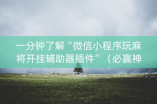 一分钟了解“微信小程序玩麻将开挂辅助器插件”（必赢神器辅助器)