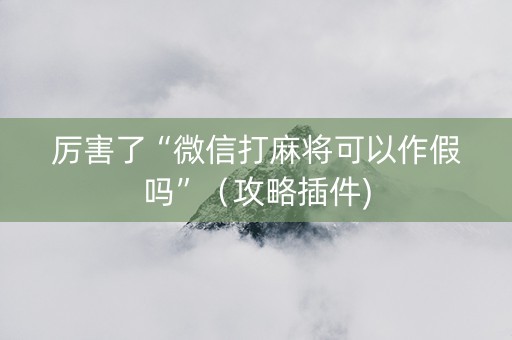 厉害了“微信打麻将可以作假吗”（攻略插件)