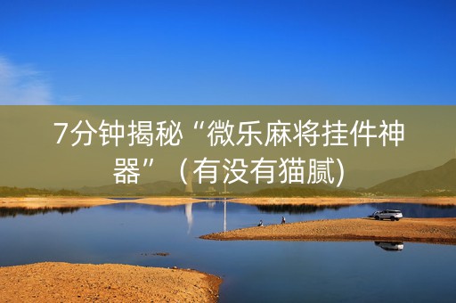7分钟揭秘“微乐麻将挂件神器”（有没有猫腻)