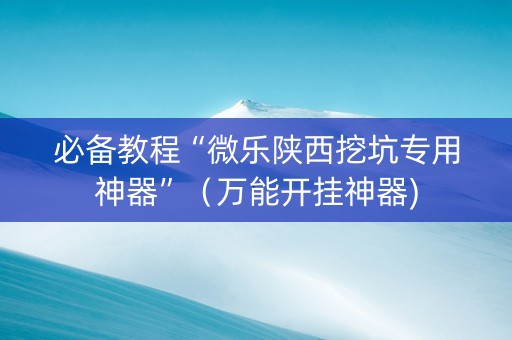 必备教程“微乐陕西挖坑专用神器”（万能开挂神器)