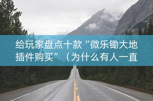 给玩家盘点十款“微乐锄大地插件购买”（为什么有人一直赢)
